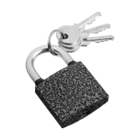 Замок навесной LOCKLAND, с влагозащитной дужкой 38 мм Замок навесной LOCKLAND, с влагозащитной дужкой 38 мм