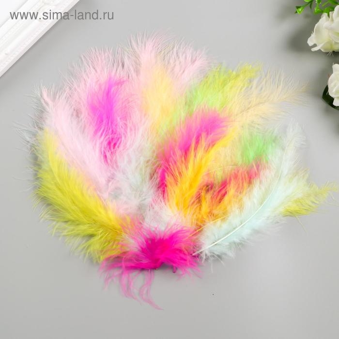 Перья декоративные страусиные, 10-12 см (набор 24 шт) 6 цветов, пастель, ассорти Перья декоративные страусиные, 10-12 см (набор 24 шт) 6 цветов, пастель, ассорти