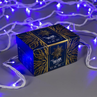 Гирлянда &laquo;Нить&raquo; 10 м, IP44, УМС, белая нить, 100 LED, свечение синее, 220 В