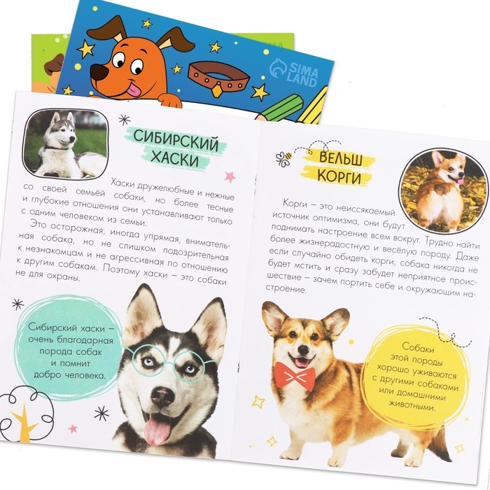 Набор 3 в 1 &laquo;Лучший друг&raquo;, 3 книги, пазл, игрушка