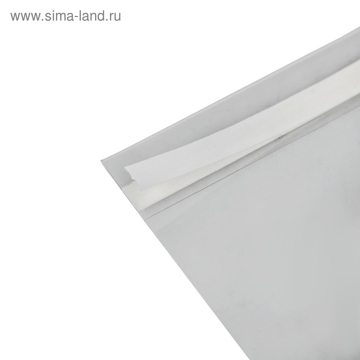 Карман-держатель для информации, клеящаяся основа, формат А4 вертикальный, 21&times;0,2&times;30 см