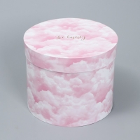 Набор шляпных коробок для цветов 4 в 1, упаковка подарочная, &laquo;Облака&raquo;, 14 х 13 см - 20 х 17.5 см