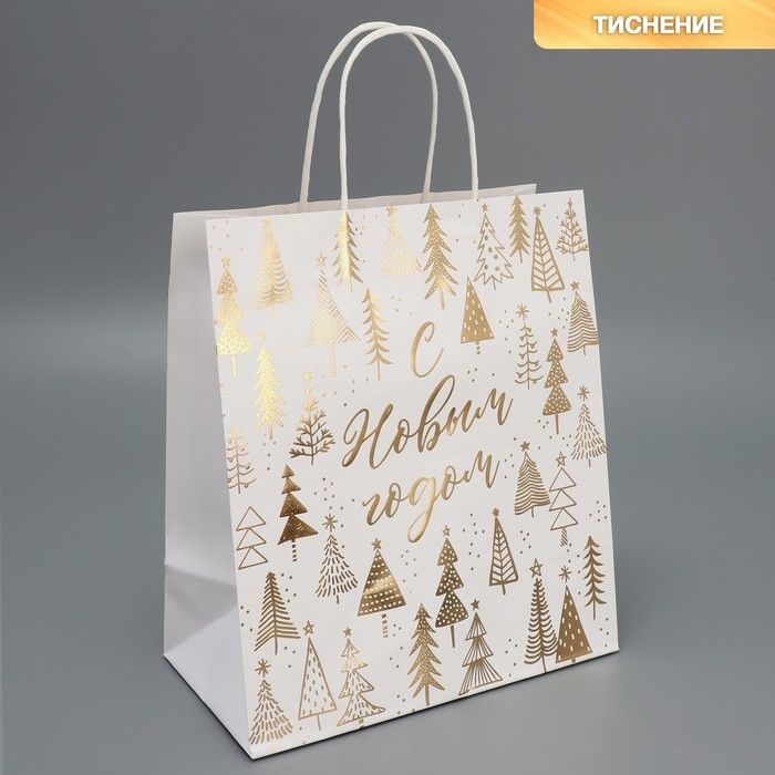 Пакет подарочный новогодний крафтовый &laquo;Новогодняя пора&raquo;, 22 х 25 х 12 см, Новый год
