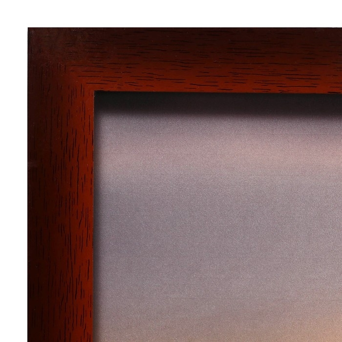 Картина Картина "Кони" 60х100 (65х105) см