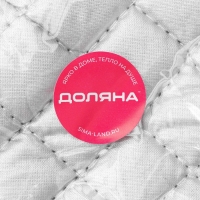 Набор прихваток &laquo;Профи&raquo;, 2 шт, 23&times;17 см, цвет серый