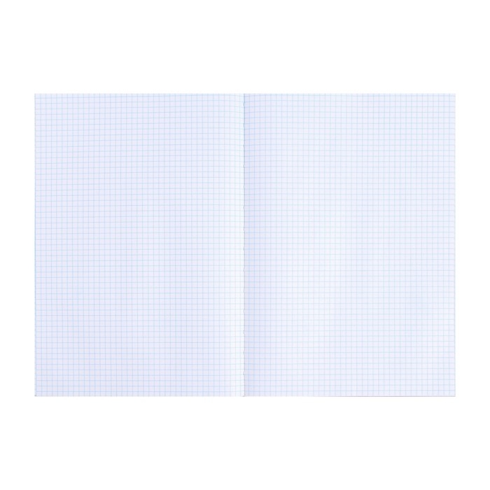 Книга учета, 96 листов, обложка картон 7Б, блок ОФСЕТ, клетка, цвет зеленый (имитация)