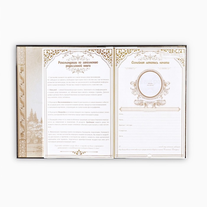 Родословная книга &laquo;Наша Семья&raquo;, 50 листов, 22 х 31 см.