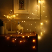 Гирлянда «Конский хвост» 10 нитей по 1 м, IP20, серебристая нить, 100 LED, свечение тёплое белое, 12 В Гирлянда «Конский хвост» 10 нитей по 1 м, IP20, серебристая нить, 100 LED, свечение тёплое белое, 12 В