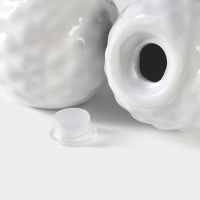 Набор для специй Доляна &laquo;Ананас&raquo;, 2 предмета: солонка 70 мл, перечница 70 мл, цвет белый