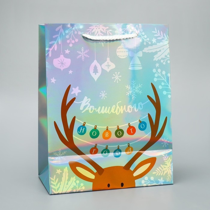 Пакет голографический &laquo;Волшебного&raquo;, MS 18 х 23 х 10 см, Новый год