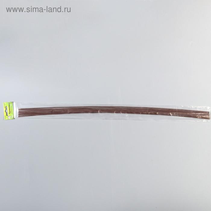 Набор проволоки для творчества d-2 мм, 60 см, 10 шт, коричневый