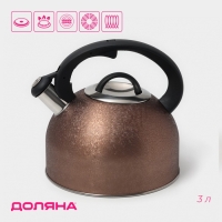 Чайник со свистком из нержавеющей стали Доляна Snow, 3 л, индукция, цвет золотой Чайник со свистком из нержавеющей стали Доляна Snow, 3 л, индукция, цвет золотой