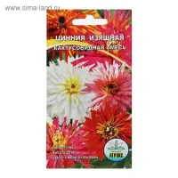 Семена цветов Цинния кактусовидная смесь, О, 0,2 г