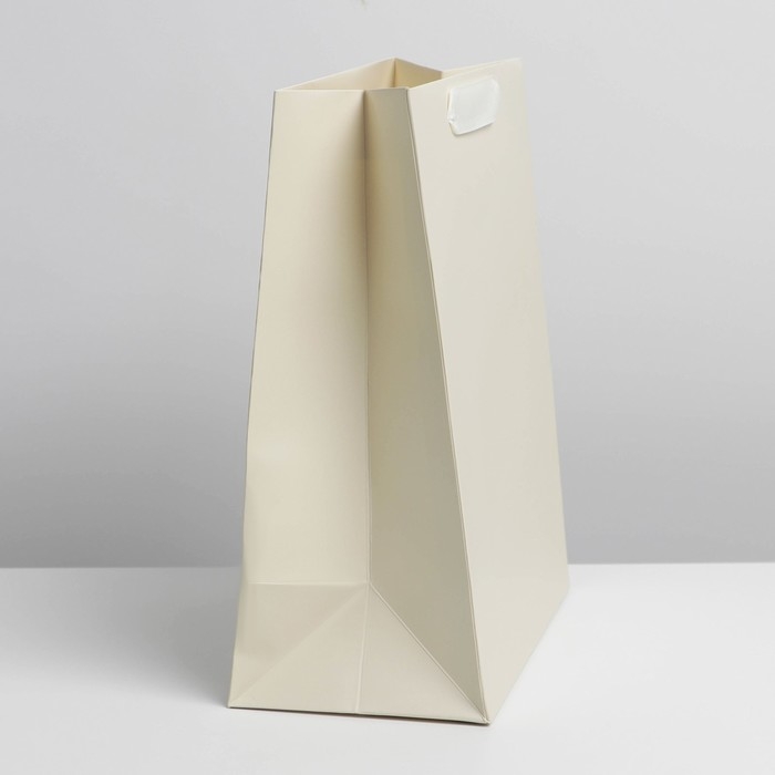 Пакет подарочный ламинированный, упаковка, &laquo;Молочный&raquo;, ML 23 х 27 х 11.5 см