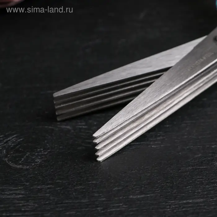 Ножницы кухонные для зелени Доляна &laquo;Шеф&raquo;, 21 см, цвет МИКС