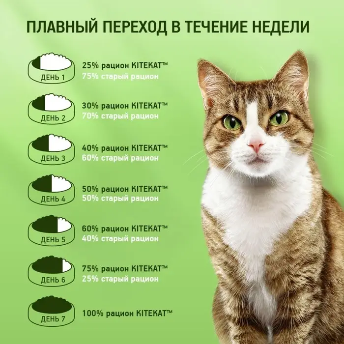 Влажный корм Kitekat для кошек, говядина в желе, пауч, 85 г