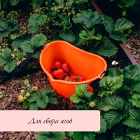 Ёмкость для сбора ягод, 3 л, оранжевая Ёмкость для сбора ягод, 3 л, оранжевая