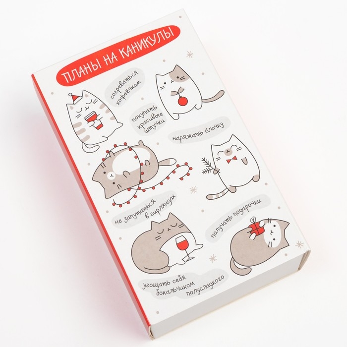 Набор новогодних женских носков KAFTAN "Киса" размер 36-39 (23-25 см), 2 пары