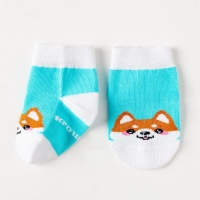 Набор носков Крошка Я &laquo;Корги&raquo;, 2 пары, 8-10