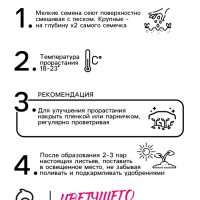 Семена  цветов Бархатцы "Золотой великан", О, 0,1 г