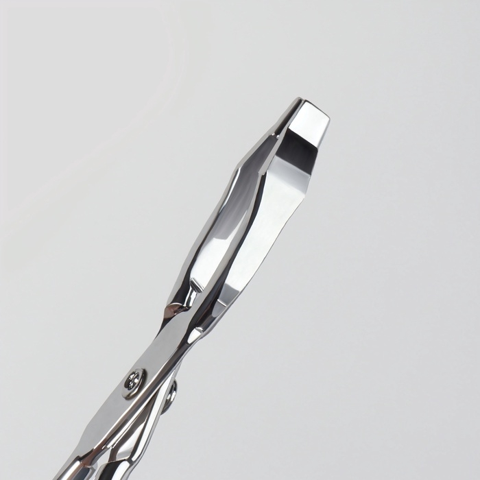 Пинцет в форме ножниц, изогнутый, 8 см, цвет серебристый Пинцет в форме ножниц, изогнутый, 8 см, цвет серебристый