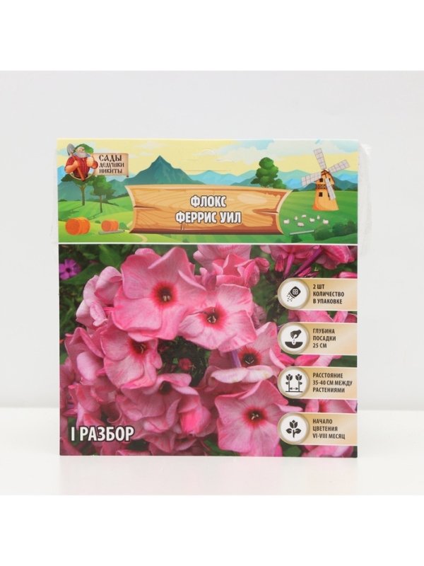 Флокс &laquo;Феррис Уил&raquo; корневище в пакете с торфогрунтом, р-р I, 2 шт.