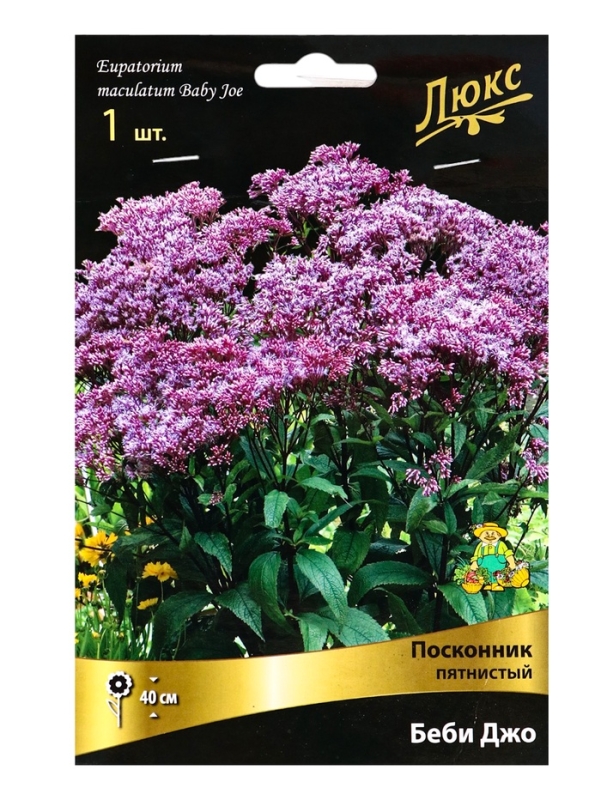 Посконник Посконник "пятнистый Беби Джо", 1 шт, р-р I, Весна 2025