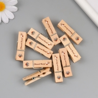 Декор для творчества дерево "Прищепка - Светлой Пасхи!" набор 10 шт