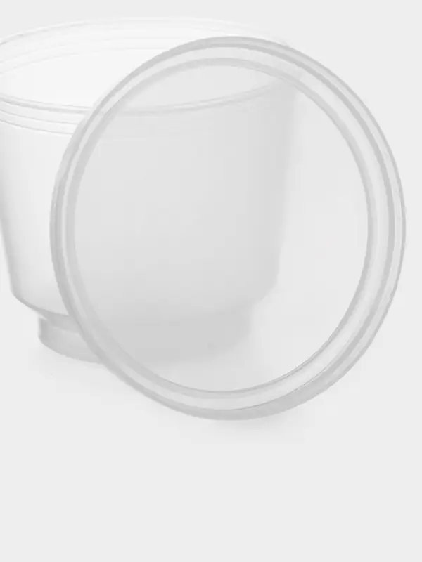 Контейнер пищевой, 250 мл, с герметичной крышкой