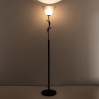 Торшер "Весна" 1х15Вт Е27 МОДЕЛЬ: BR 01016 черный