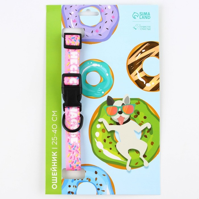 Ошейник &laquo;Несу счастье&raquo;, застёжка - фастекс, 2 см 25-40 см