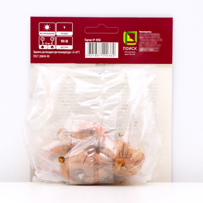 Гладиолус крупноцветковый &laquo;Кемистри&raquo;, луковица цветов в пакете с перфорацией, р-р 12/14, 5 шт.