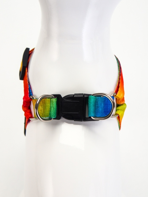 Комплект "Радуга", капрон, поводок 120 х 1,5 см, ОГ 24-34 см, разноцветный