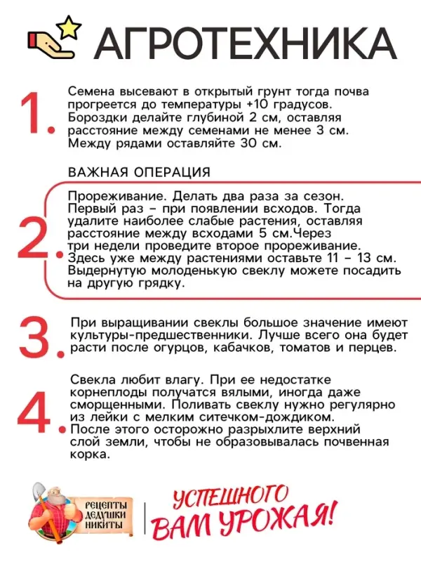 Семена Свёкла "Бордо 237", 2 г