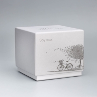 Свеча ароматическая "Soy WAX", английская груша и фрезия, белая, 9х9 см