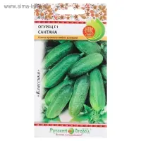 Семена Огурец "Сантана" F1, серия Русский огород, среднесп, партенокарп, 10 шт