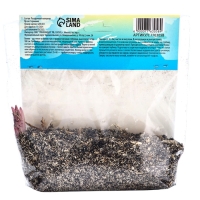 Лилия &laquo;Ориентал Диззи&raquo;, луковица в пакете с перфорацией, р-р 14/16, 2 шт.