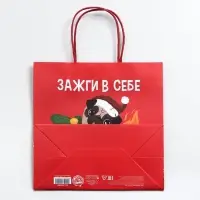 Пакет подарочный новогодний &laquo;Зажги в себе&raquo;, 22 х 22 х 11 см