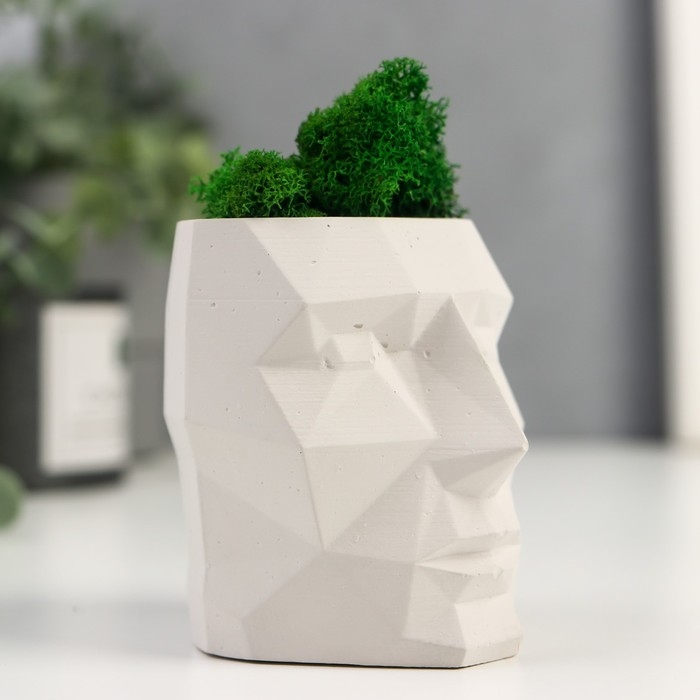 Кашпо бетонное "Голова" со мхом высота 8.5 см белое (мох зеленый стабилизированный)