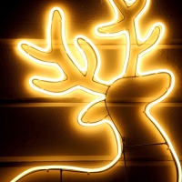 Неоновая фигура &laquo;Серебряное копытце&raquo;, 55 &times; 92 см, 672 LED, 220 В, свечение тёплое белое