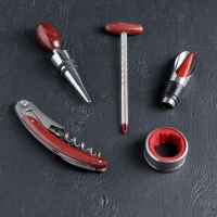 Набор для вина &laquo;Каберне&raquo;, 5 предметов: пробка, штопор, кольцо, термометр, каплеуловитель