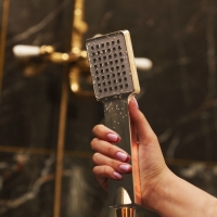 Душевая лейка ZEIN Z407, 1 режим, 85x85 мм, пластик, цвет хром Душевая лейка ZEIN Z407, 1 режим, 85x85 мм, пластик, цвет хром