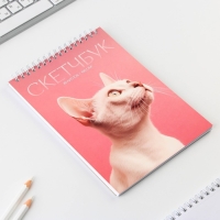 Скетчбук А5, 40 л 100 г/м2 &laquo;Кошка&raquo;