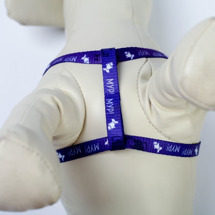 Комплект &laquo;Мур! Мур!&raquo;, шлейка 24-34х1 см, поводок 120 см