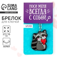 Брелок для ключей акриловый «Енот», 3,5 х 10 см Брелок для ключей акриловый «Енот», 3,5 х 10 см