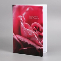 Папка для семейных документов «Docs», 8 файлов А4 Папка для семейных документов «Docs», 8 файлов А4