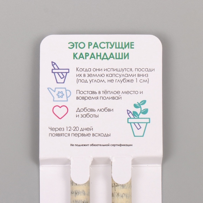 Растущие подарочные карандаши mini "Ромашка + Лаванда" набор 2 шт.