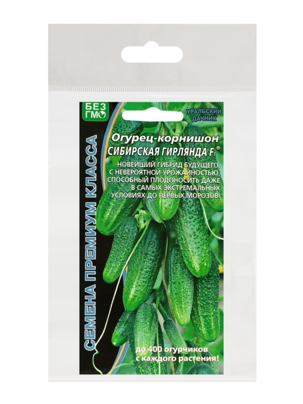 Семена Огурец "Сибирская Гирлянда" F1 скороспелый, партенокарпический, набор 5 шт