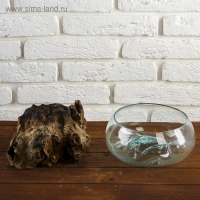 Вазон стекло на дереве "Забота" 20х25х25 см, МИКС