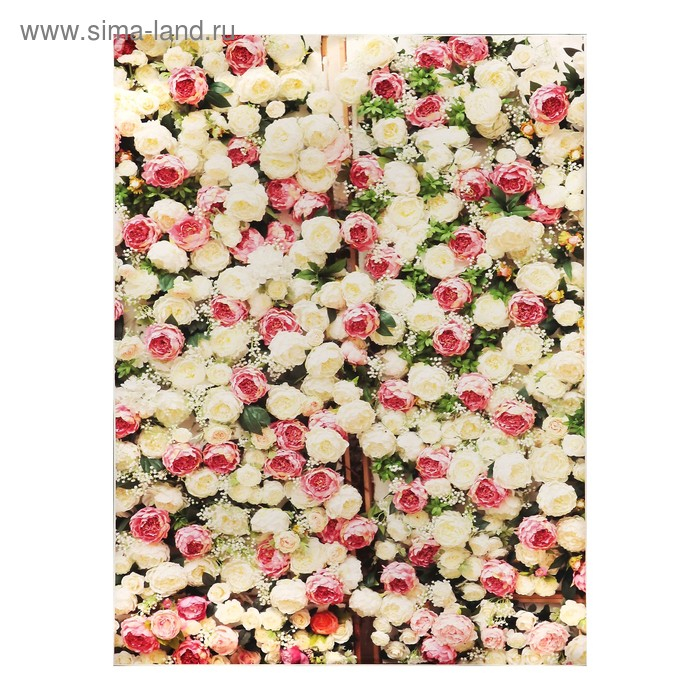 Фотофон винил "Пионы" 200х150 см